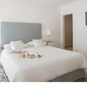 The Golden Tree Appartement